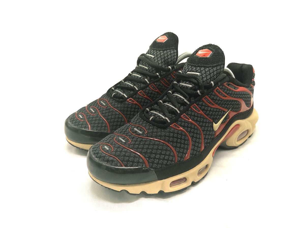 Nike Air Max Plus TN Sample 'Black/Dragon Red'