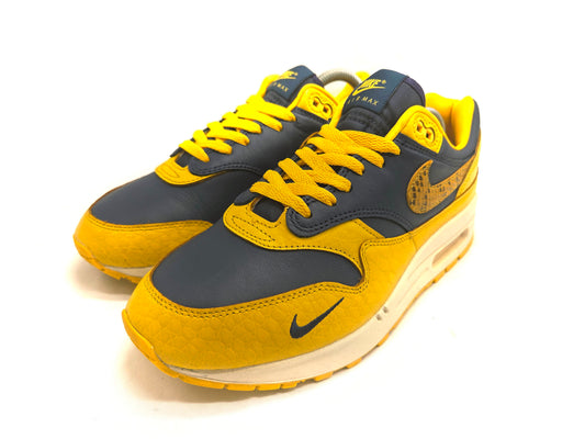 Nike Air Max 1 'Michigan'