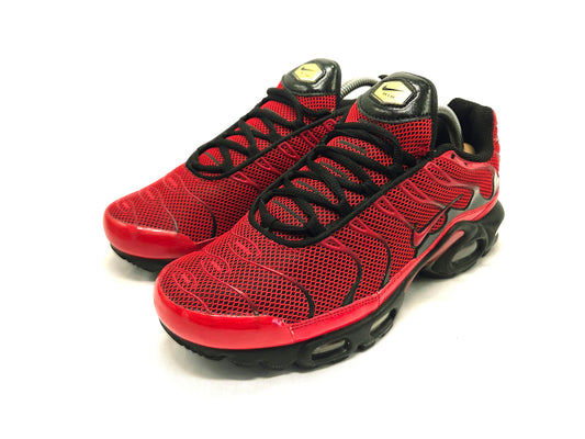 Nike Air Max Plus TN 'Diablo Red'
