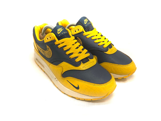 Nike Air Max 1 'Michigan'
