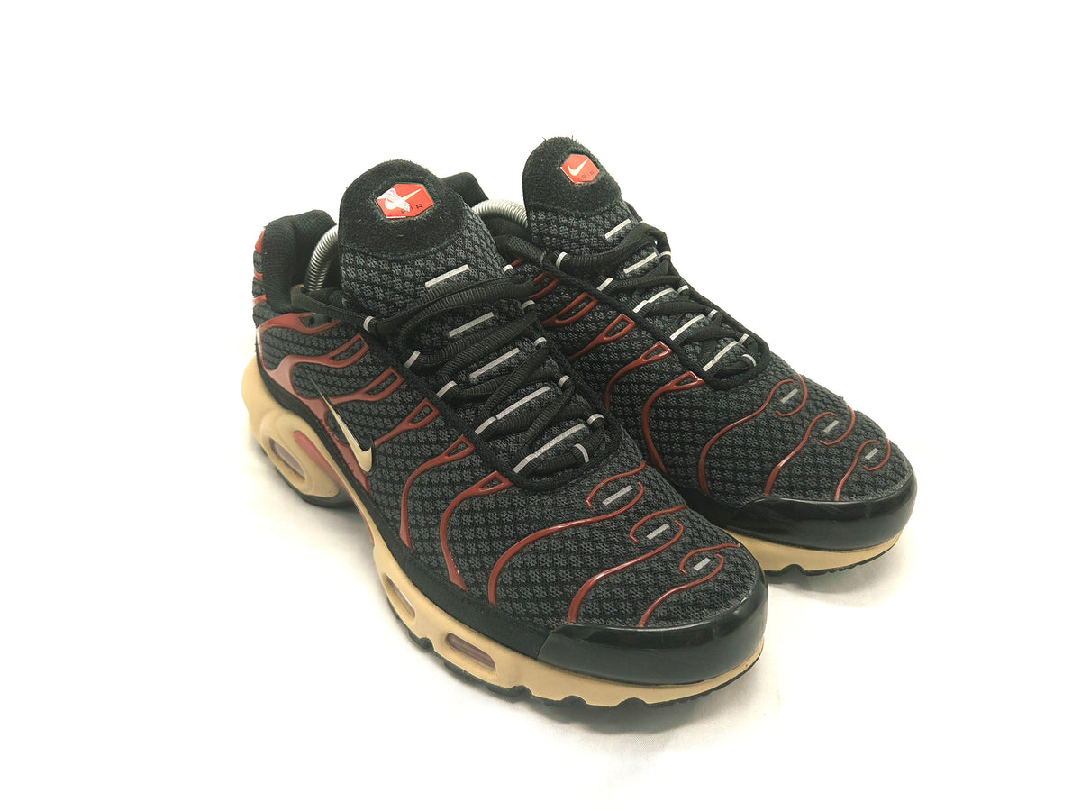Nike Air Max Plus TN Sample 'Black/Dragon Red'