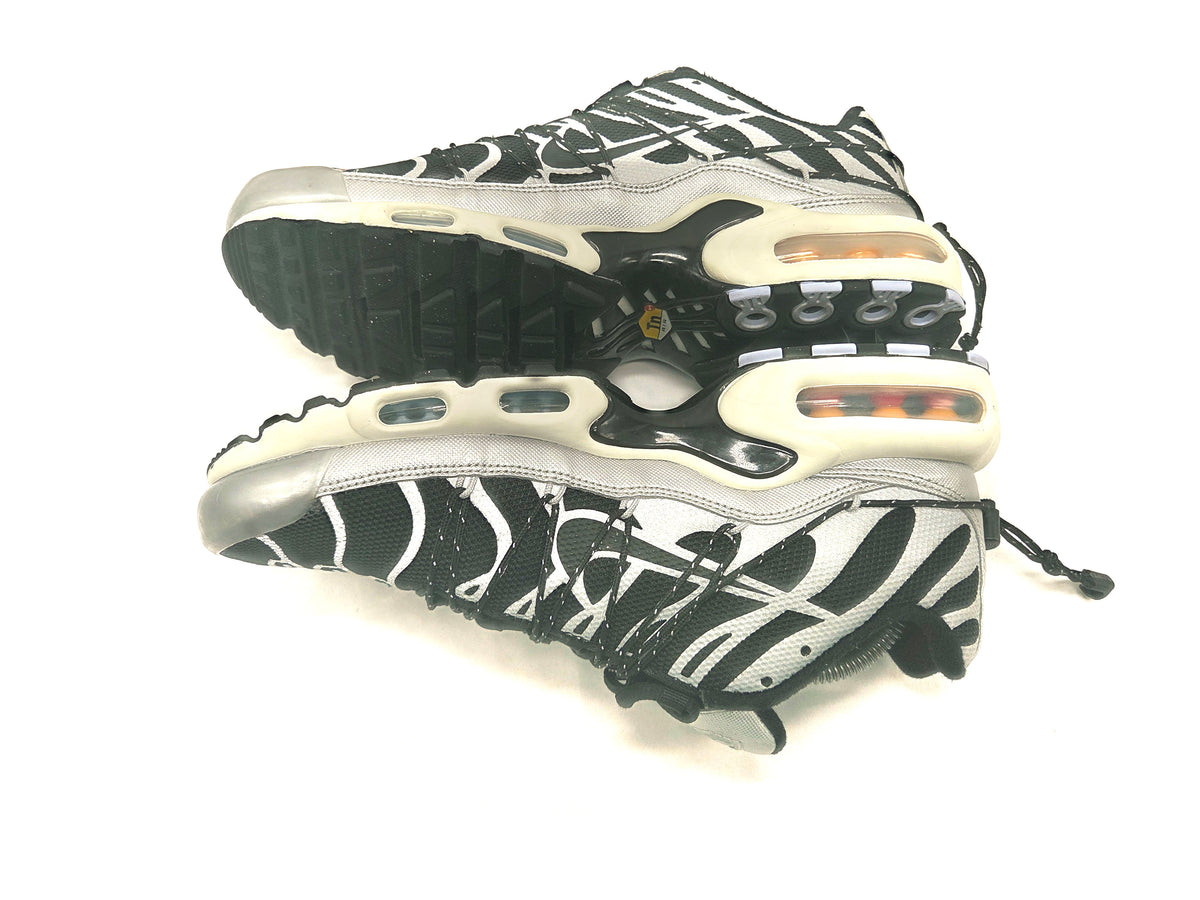 Nike Air Max Plus TN 'Silver Toggle'