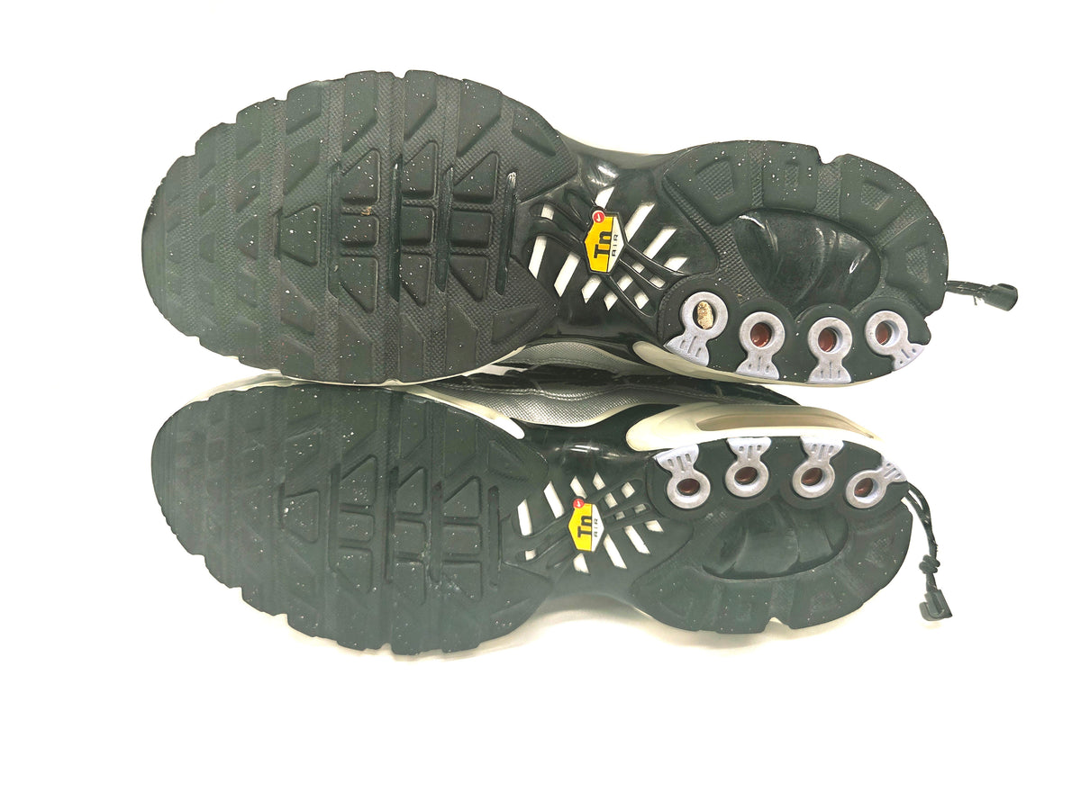 Nike Air Max Plus TN 'Silver Toggle'